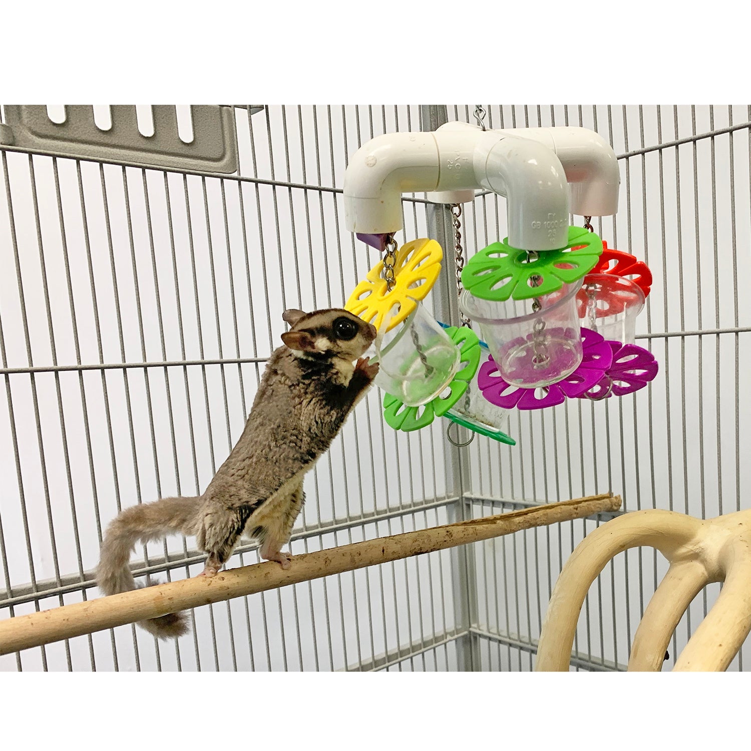 Why Toys Are Important For Gliders Why Toys Are Important For Gliders