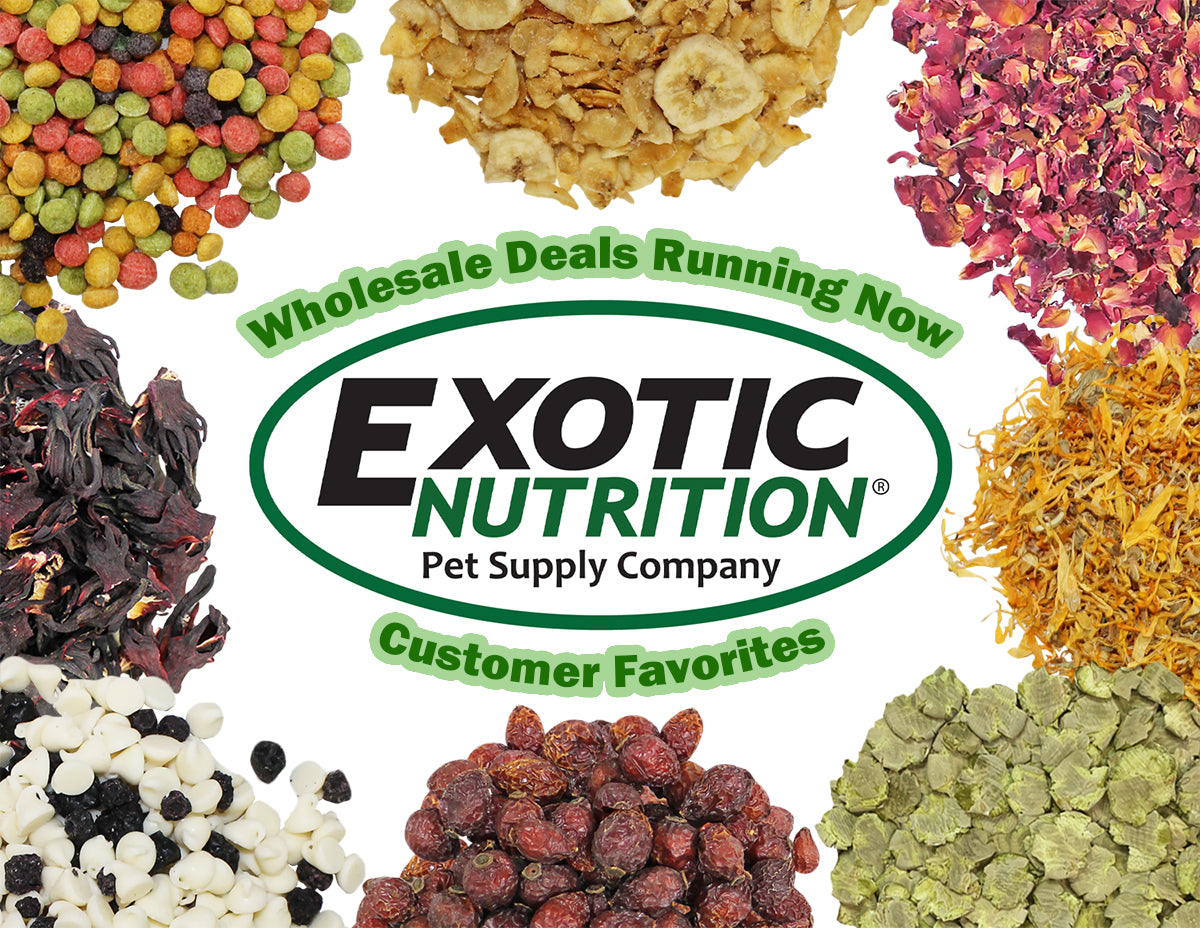 Exotic nutrition 2025 pet supply