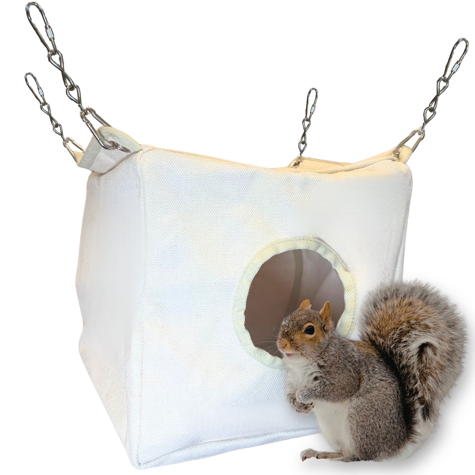 Snail Shell Cubby Canvas Cubby