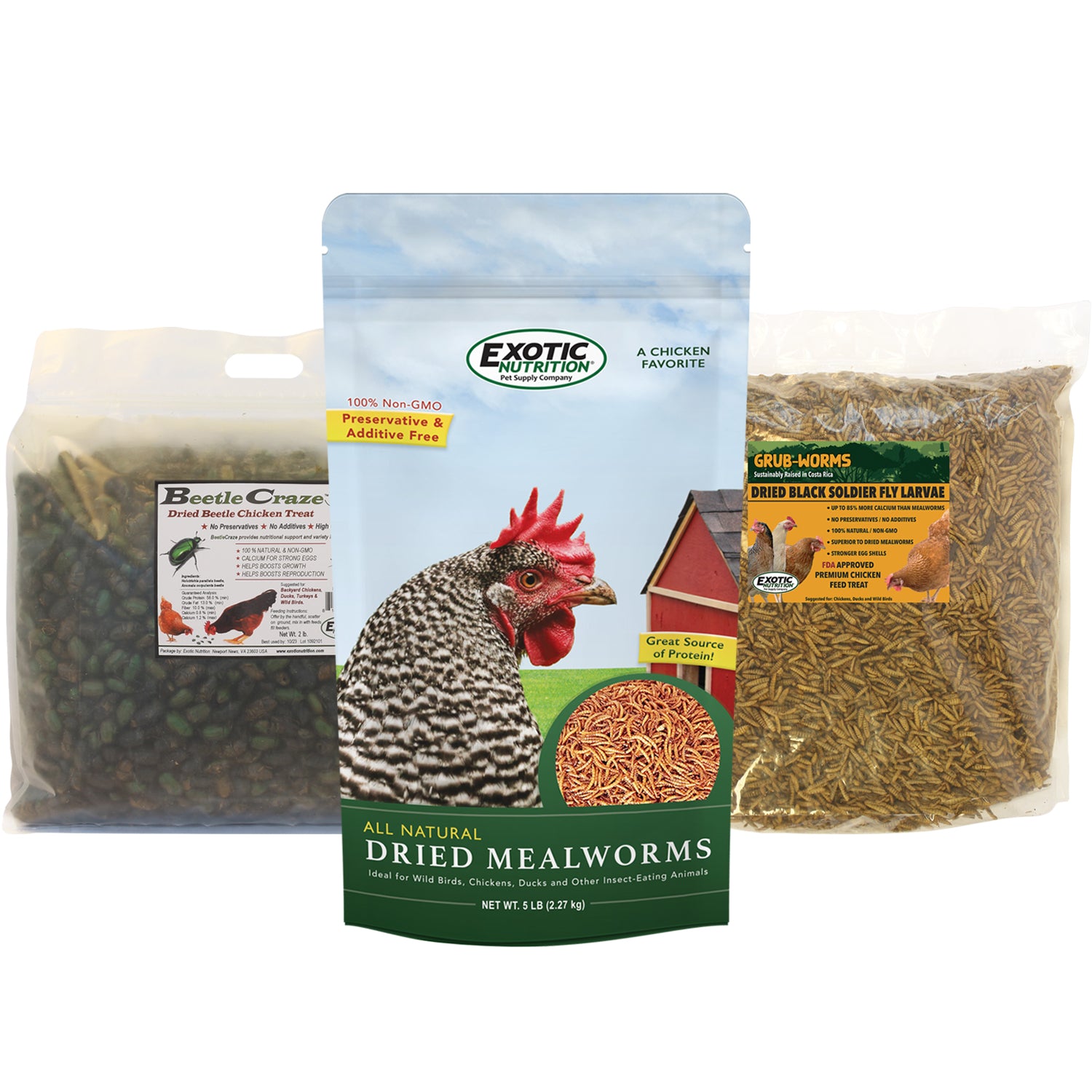 Bulk Dried Insect Trio