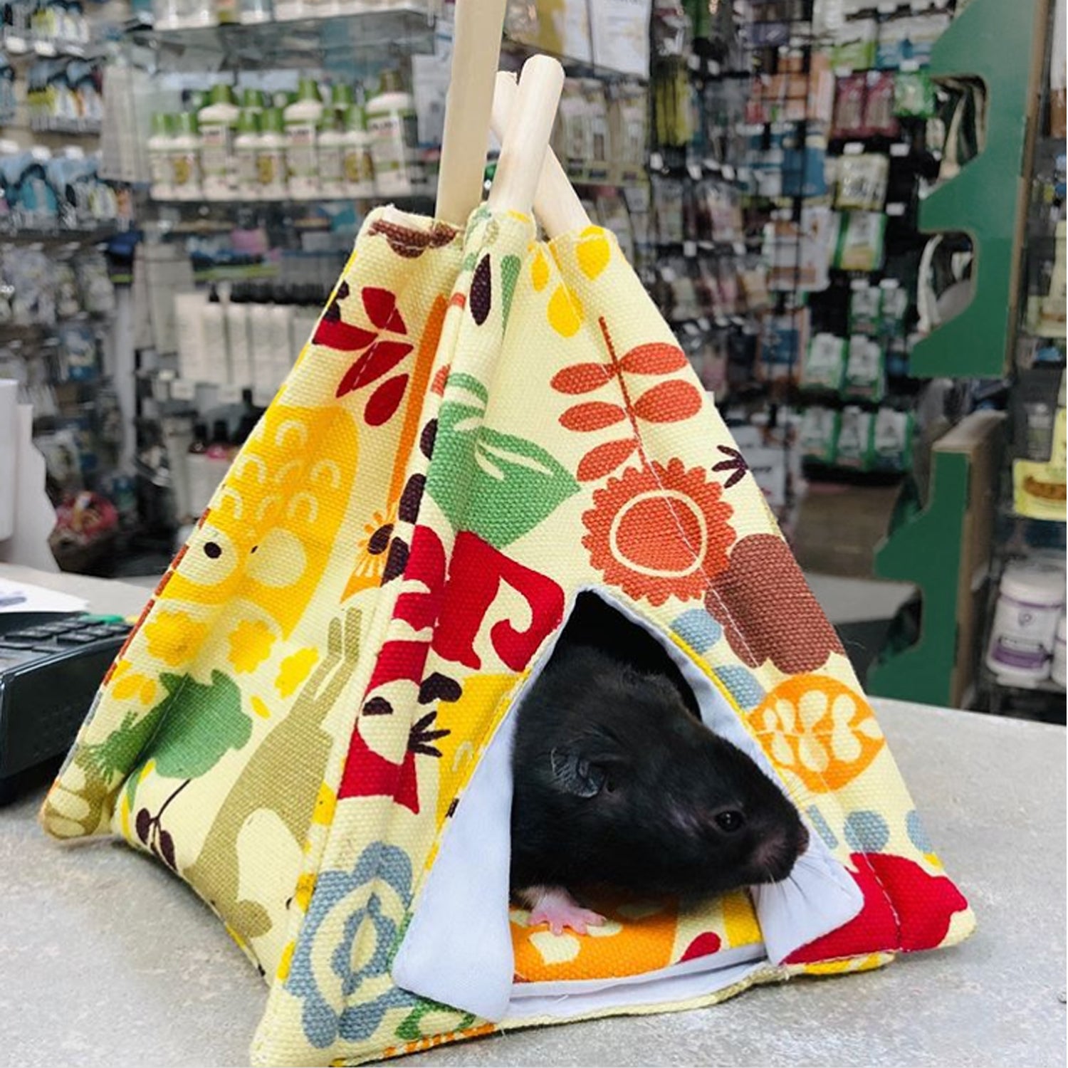 teepee tent for pets Teepee Tent - Small Animal Bed - Hamster, Sugar Gliders, Hedgehogs, Guinea Pigs, Gerbils, Rats, Degus & More