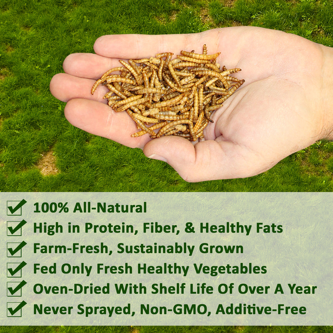 Dried Mealworms 2 lb.