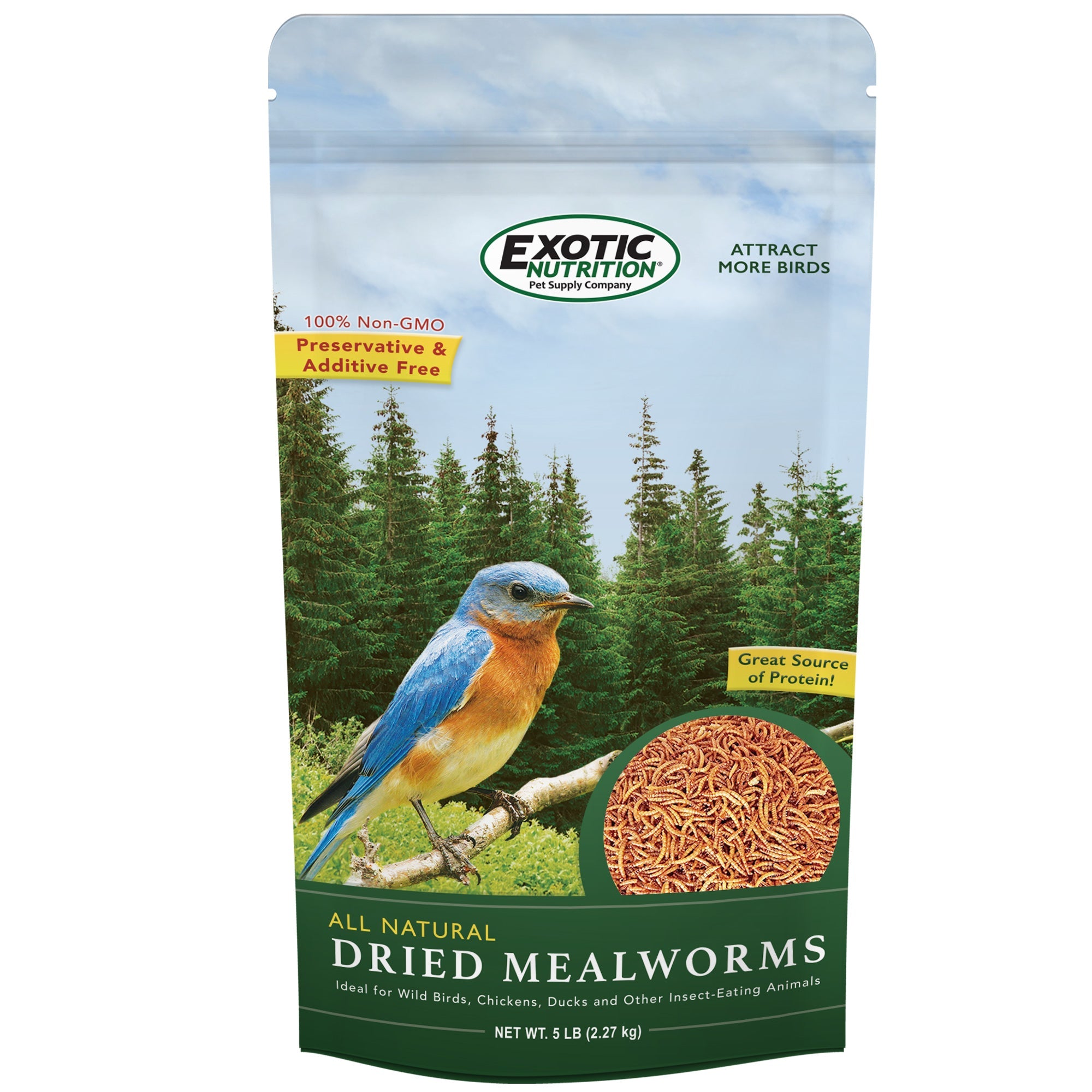 Exotic Nutrition Dried Mealworms 5 lb Bulk