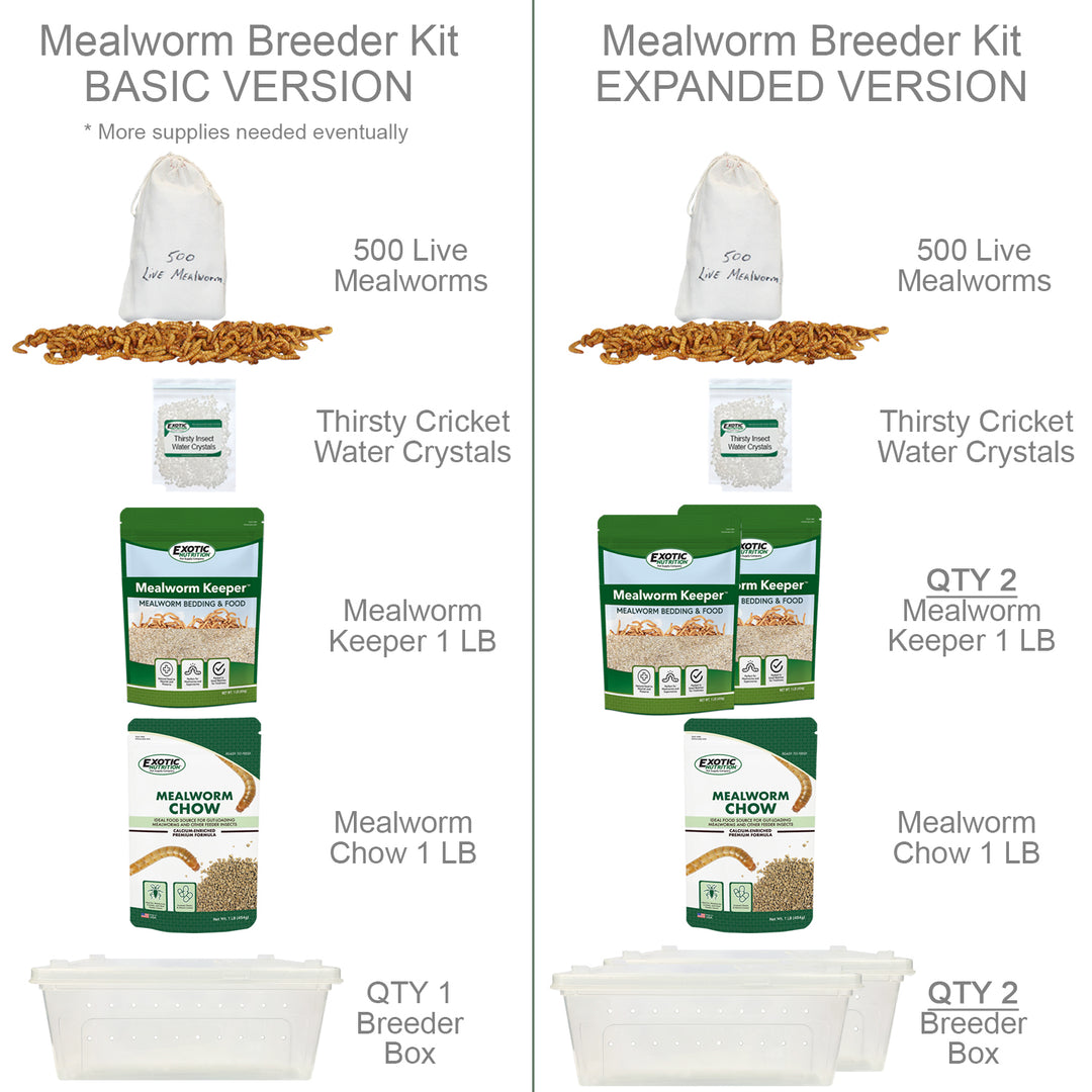 Mealworm Breeder Kit