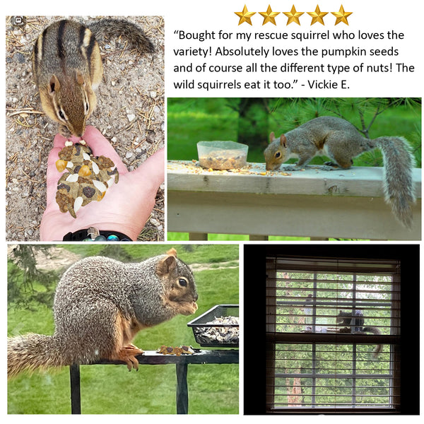 Squirrel Complete— Squirrel Food