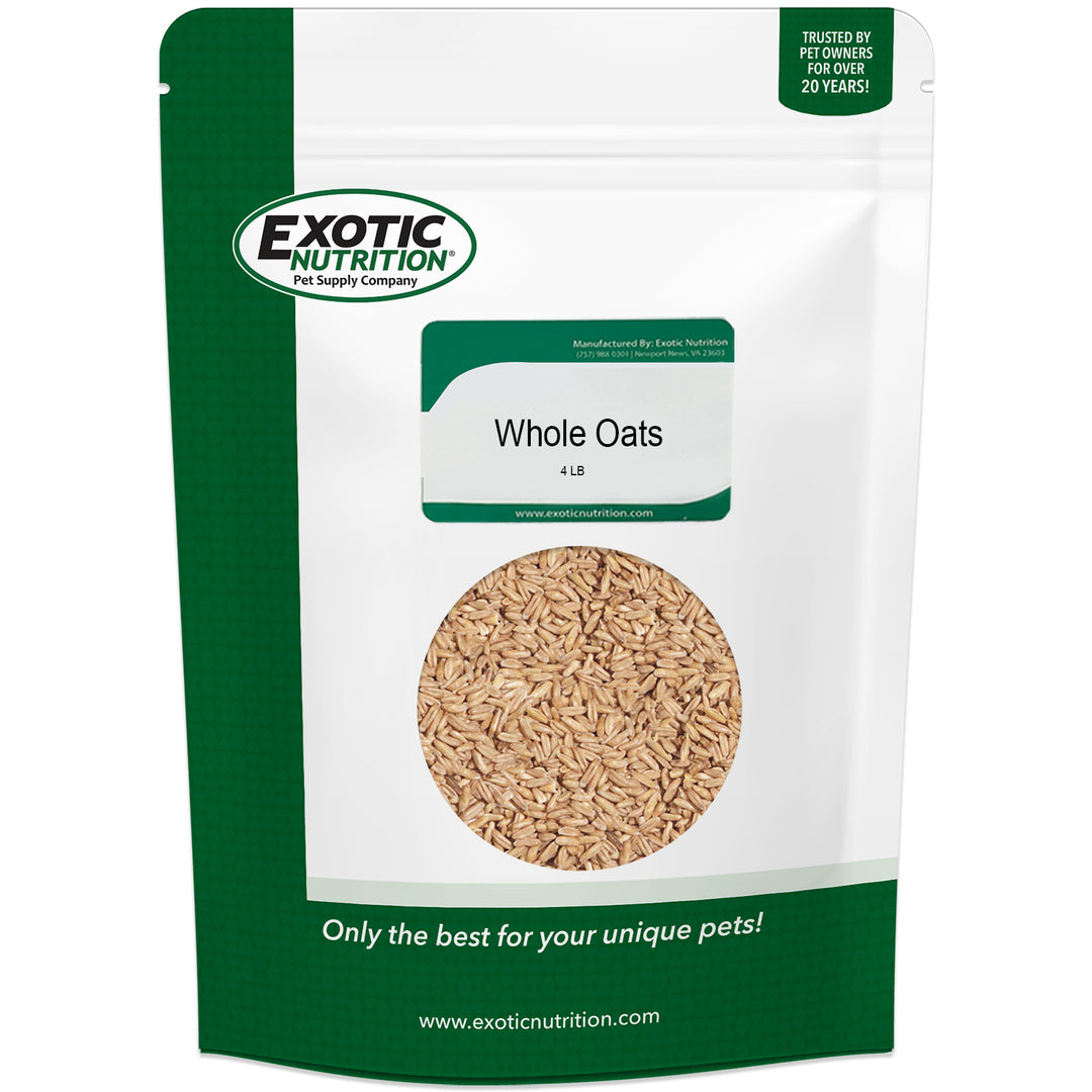 whole-oats-4-lb